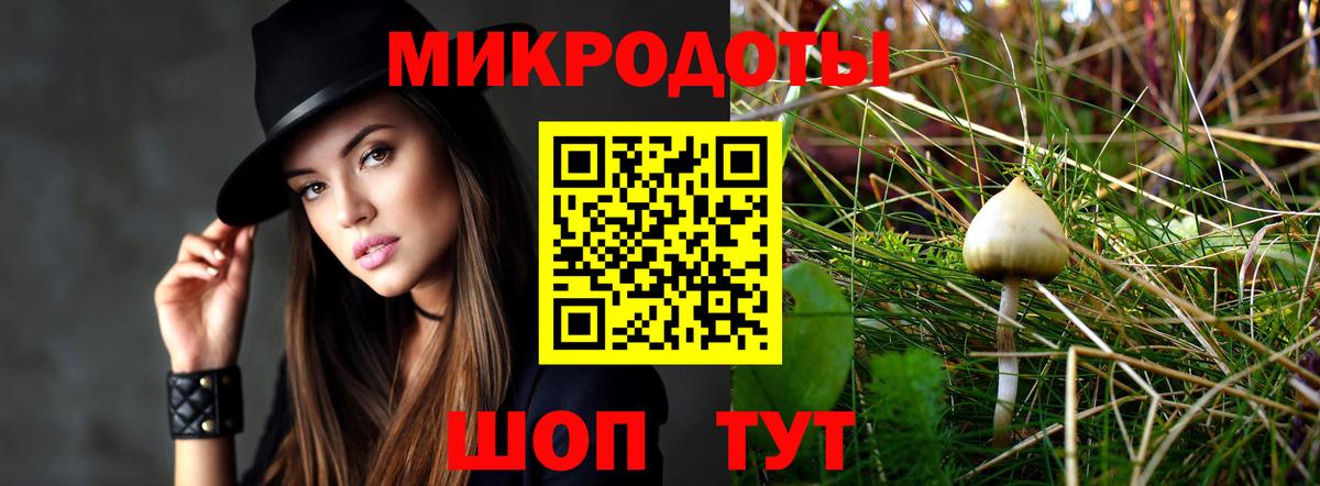 Галлюциногенные грибы Psilocybe Донской