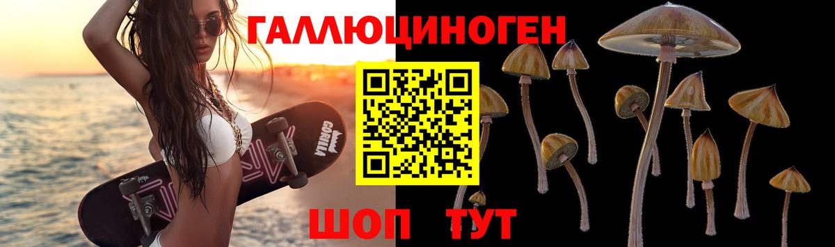 Донской  Псилоцибиновые грибы мухоморы  Псилоцибиновые грибы Psilocybe  Вход с VPN 